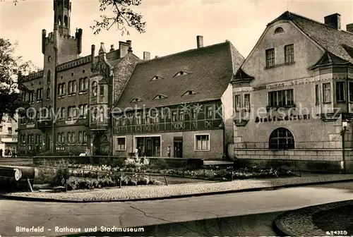 AK / Ansichtskarte Bitterfeld Rathaus und Stadtmuseum Kat. Bitterfeld