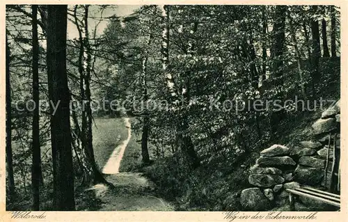 AK / Ansichtskarte Walsrode Lueneburger Heide Weg in der Eckernworth Kat. Walsrode