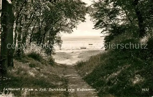 AK / Ansichtskarte Keitum Sylt Durchblick zum Wattenmeer Kat. Sylt Ost