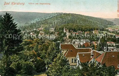 AK / Ansichtskarte Bad Harzburg Villen am Papenberg Kat. Bad Harzburg