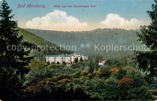 AK / Ansichtskarte Bad Harzburg Blick vom Harzburger Hof Kat. Bad Harzburg