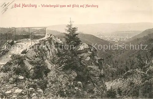 AK / Ansichtskarte Bad Harzburg Winterbergklippen Kat. Bad Harzburg