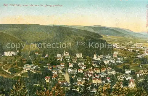 AK / Ansichtskarte Bad Harzburg Blick vom kleinen Burgberg Kat. Bad Harzburg