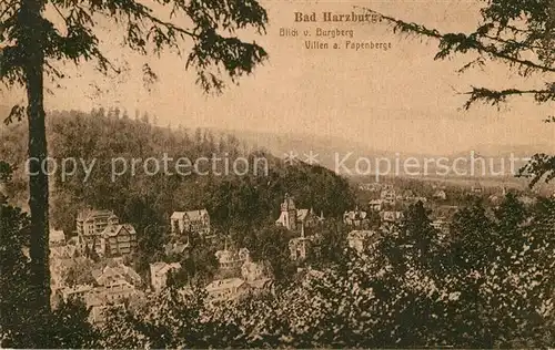 AK / Ansichtskarte Bad Harzburg Blick vom Burgberg auf Villen am Papenberge Kat. Bad Harzburg