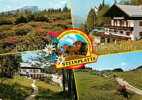 AK / Ansichtskarte Waidring Tirol Alpengasthof Steinplatte  Kat. Waidring