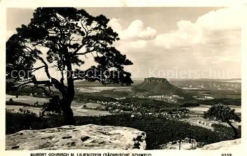 AK / Ansichtskarte Gohrisch Landschaftspanorama mit Lilienstein Tafelberg Elbsandsteingebirge Kat. Gohrisch