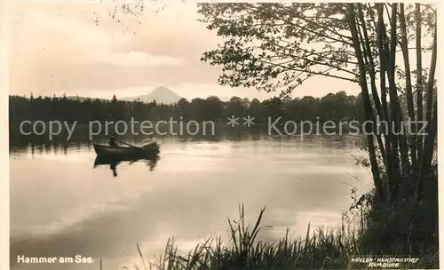 AK / Ansichtskarte Hammer See Tschechien Uferpartie am See Bootfahren Kat. Hamr na Jezere