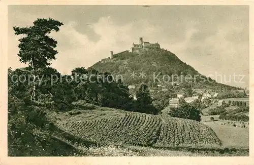 AK / Ansichtskarte Boesig Landschaftspanorama mit Blick zur Burg Kat. Tschechische Republik