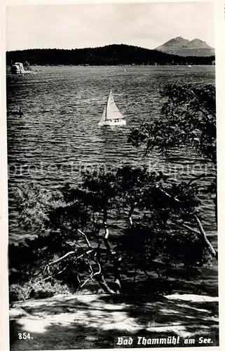 AK / Ansichtskarte Bad Thammuehl am See Uferpartie am See Segelboot