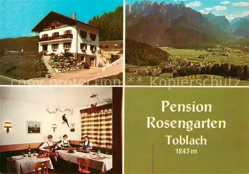 AK / Ansichtskarte Toblach Suedtirol Pension Rosengarten Panorama Kat. Dobbiaco