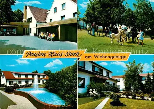 AK / Ansichtskarte Bad Holzhausen Luebbecke Pension Haus Stork am Wiehengebirge Reiter Schwimmbad Kat. Preussisch Oldendorf