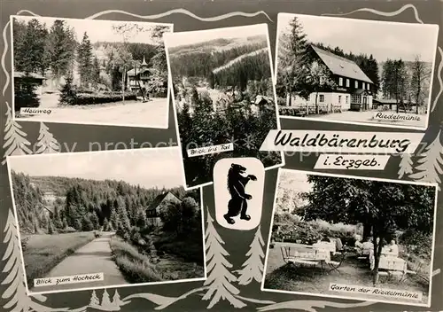 AK / Ansichtskarte Waldbaerenburg Heuweg Riedelmuehle Hocheck Garten Kat. Altenberg