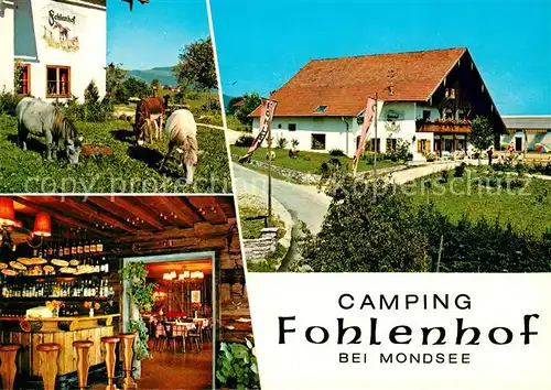 AK / Ansichtskarte Mondsee Salzkammergut Camping Fohlenhof Restaurant Bar Ponnys Kat. Mondsee