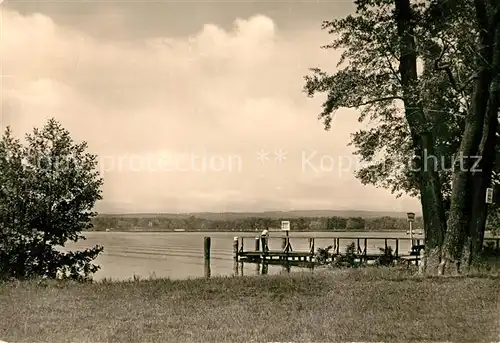 AK / Ansichtskarte Pieskow Bad Saarow Scharmuetzelsee Dampferanlegestelle Cecilienpark Kat. Bad Saarow Pieskow