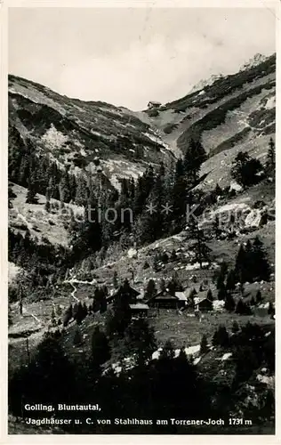 AK / Ansichtskarte Golling Salzach Panorama Bluntaltal Jagdhaeuser C. von Stahlhaus am Torrener Joch Kat. Golling an der Salzach