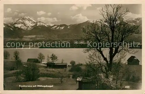 AK / Ansichtskarte Faakersee Panorama mit Mittagskogel Karawanken Kat. Villach