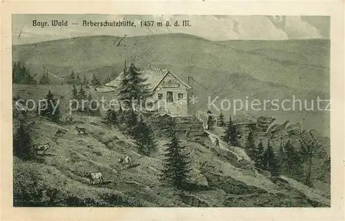 AK / Ansichtskarte Arberschutzhaus Berghuette Bayerischer Wald Kuenstlerkarte Kat. Grosser Arber Bayerisch Eisenstein