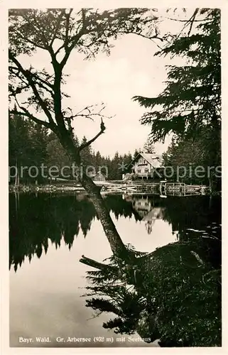 AK / Ansichtskarte Bayerisch Eisenstein Grosser Arbersee mit Seehaus Kat. Bayerisch Eisenstein