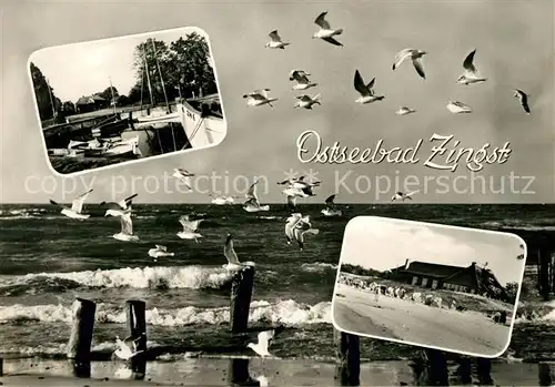 AK / Ansichtskarte Zingst Ostseebad Moewen Strand Hafen Kat. Zingst Darss