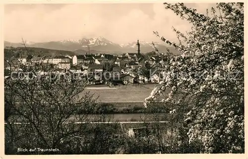 AK / Ansichtskarte Traunstein Oberbayern Stadtblick Kat. Traunstein