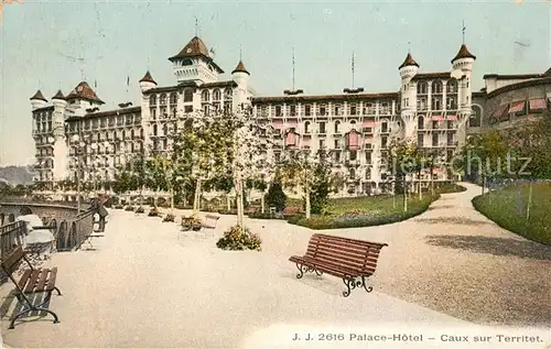AK / Ansichtskarte Territet Palace Hotel Kat. Territet