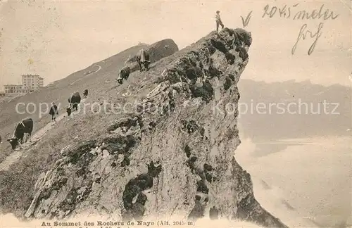 AK / Ansichtskarte Rochers de Naye Panorama Kat. Rochers de Naye