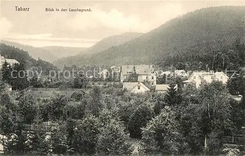 AK / Ansichtskarte Tabarz Panorama Blick in den Lauchagrund Kat. Tabarz Thueringer Wald