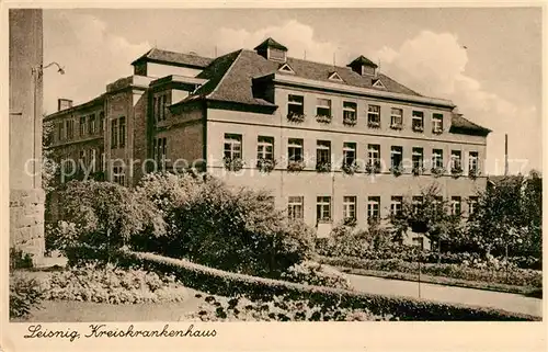 AK / Ansichtskarte Leisnig Kreiskrankenhaus Kat. Leisnig