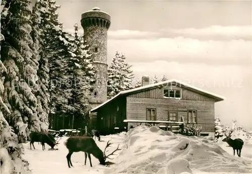 AK / Ansichtskarte Harz Region Grosser Knollen Aussichtsturm Winterlandschaft