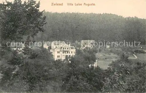 AK / Ansichtskarte Zwiesel Bad Gottleuba Berggiesshuebel Villa Luise Auguste Kat. Bad Gottleuba Berggiesshuebel