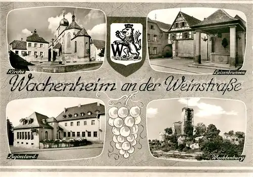AK / Ansichtskarte Wachenheim Weinstrasse Kirche Luisenbrunnen Wachtenburg Luginsland Kat. Wachenheim an der Weinstrasse