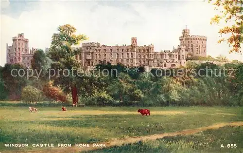 AK / Ansichtskarte Windsor Castle from Home Park Cows Art Colour Card Kuenstlerkarte Kat. City of London