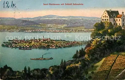 AK / Ansichtskarte Insel Reichenau mit Schloss Salenstein Kat. Reichenau Bodensee