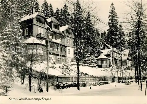 AK / Ansichtskarte Waldbaerenburg Winterlandschaft Kat. Altenberg