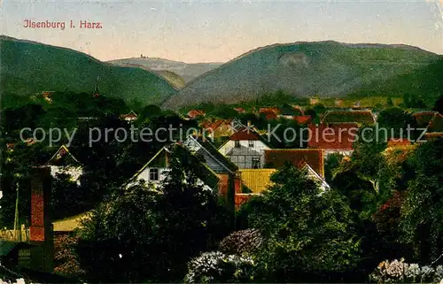 AK / Ansichtskarte Ilsenburg Harz Panorama Kat. Ilsenburg Harz