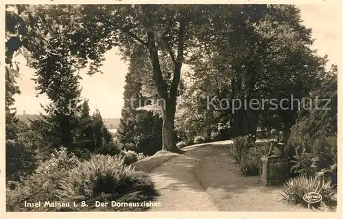 AK / Ansichtskarte Insel Mainau Dornauszieher im Schlosspark Kat. Konstanz Bodensee