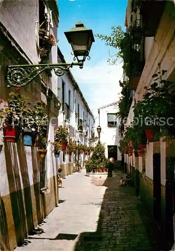 AK / Ansichtskarte Malaga Andalucia Calle Victoriana Kat. Malaga