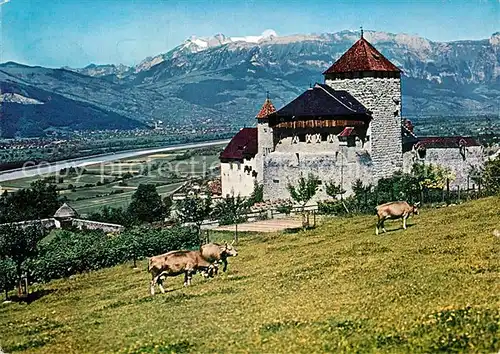 AK / Ansichtskarte Vaduz Schloss  Kat. Vaduz