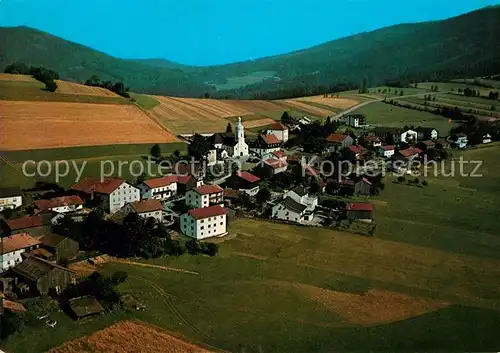 AK / Ansichtskarte Rittsteig Grenzdorf und Ferienort Fliegeraufnahme Kat. Neukirchen b.Hl.Blut