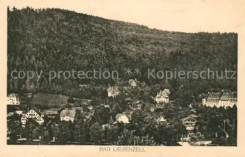 AK / Ansichtskarte Bad Liebenzell Panorama Kat. Bad Liebenzell