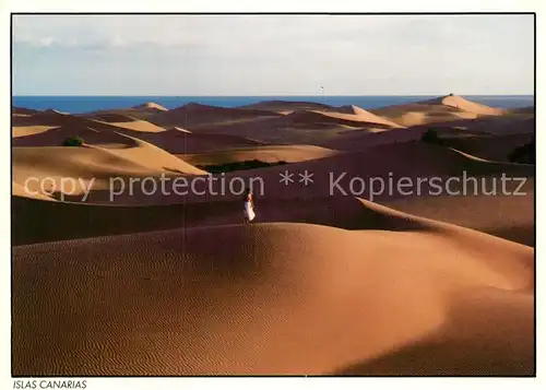 AK / Ansichtskarte Maspalomas Dunas  Kat. Gran Canaria Spanien