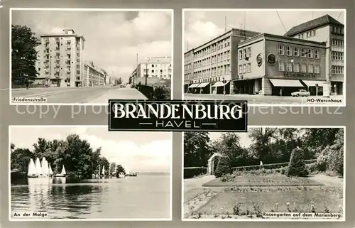 AK / Ansichtskarte Brandenburg Havel Friedensstrasse HO Warenhaus An der Malge Rosengarten Marienberg Kat. Brandenburg