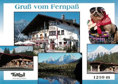 AK / Ansichtskarte Nassereith Fernpass Hotel Fernpasshoehe Alpenpass Bergsee Wasserspiegelung Murmeltier Kat. Nassereith