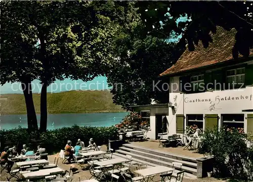 AK / Ansichtskarte Ludwigshafen Bodensee Hoehengasthof Pension Haldenhof Kat. Bodman Ludwigshafen