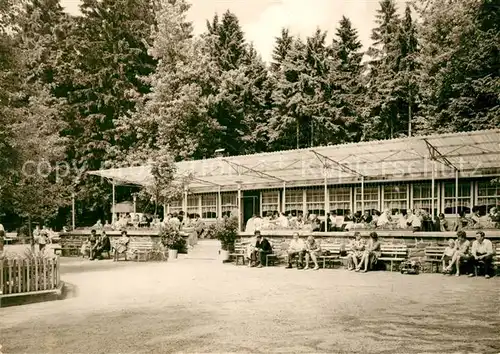 AK / Ansichtskarte Frauenwald Thueringen Cafe Lenkgrund Kat. Frauenwald