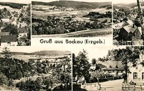 AK / Ansichtskarte Bockau Erzgebirgskreis Panorama Teilansichten Kat. Bockau