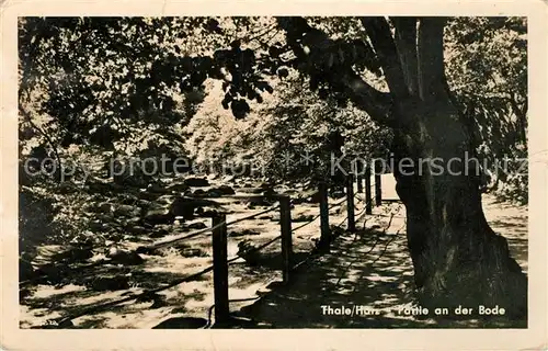 AK / Ansichtskarte Thale Harz Bodepartie Kat. Thale