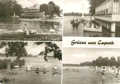 AK / Ansichtskarte Caputh Gaststaette Faehrhaus Seebad Kat. Schwielowsee