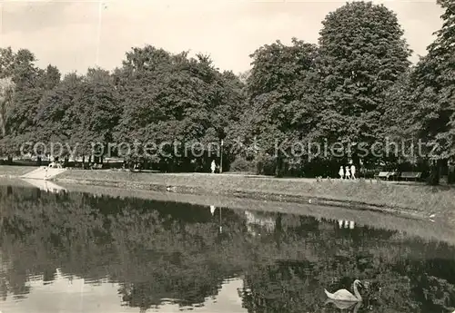 AK / Ansichtskarte Gorzow Wlkp. Teich Park Kat. Landsberg Ostbrandenburg