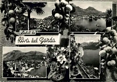 AK / Ansichtskarte Riva del Garda Zitronen Panoramen  Kat. 